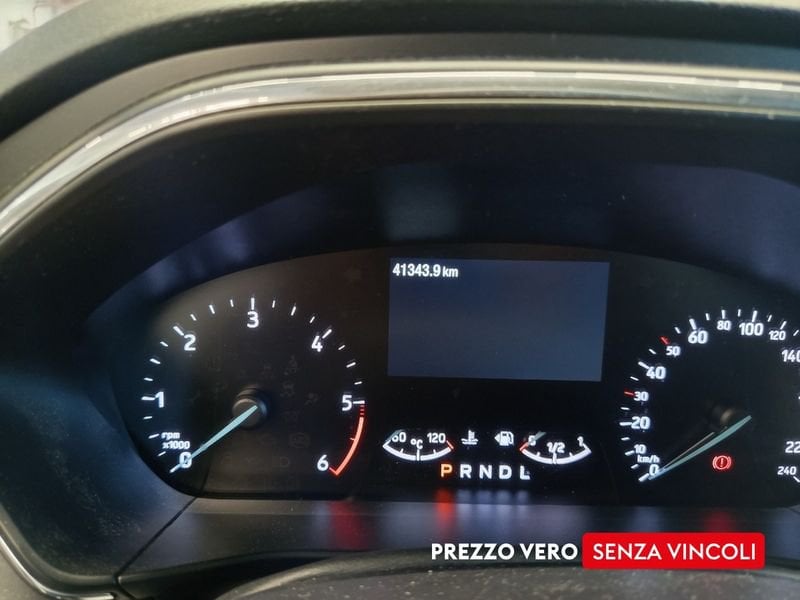 Ford Focus  Active SW 1.5 ecoblue 115cv auto