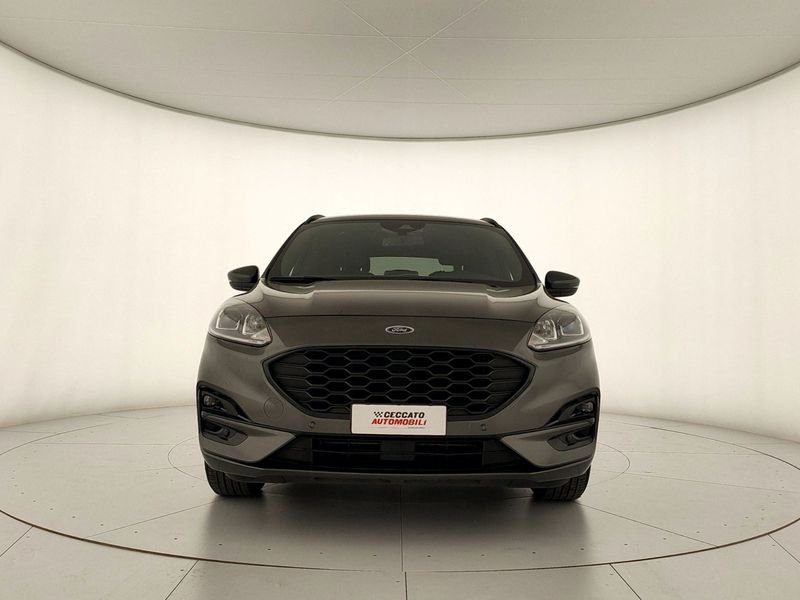 Ford Kuga  1.5 ecoblue Titanium Business 2wd 120cv