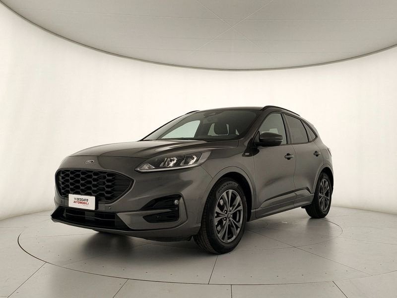 Ford Kuga  1.5 ecoblue Titanium Business 2wd 120cv