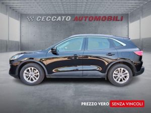 Ford Kuga  1.5 ecoblue Titanium Business 2wd 120cv auto