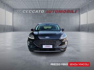 Ford Kuga  1.5 ecoblue Titanium Business 2wd 120cv auto