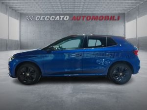 Skoda Fabia  1.0 tsi Selection 115cv dsg