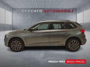 Skoda Kamiq  1.0 tsi Black Dots 115cv dsg