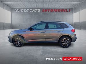 Skoda Kamiq  1.0 tsi Selection 115cv dsg