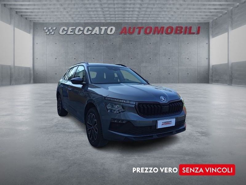 Skoda Kamiq  1.0 tsi Selection 115cv dsg