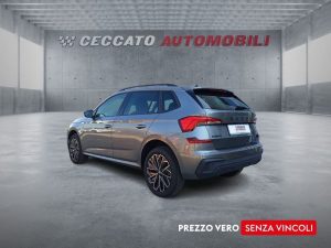 Skoda Kamiq  1.0 tsi Selection 115cv dsg