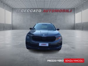Skoda Kamiq  1.0 tsi Selection 115cv dsg